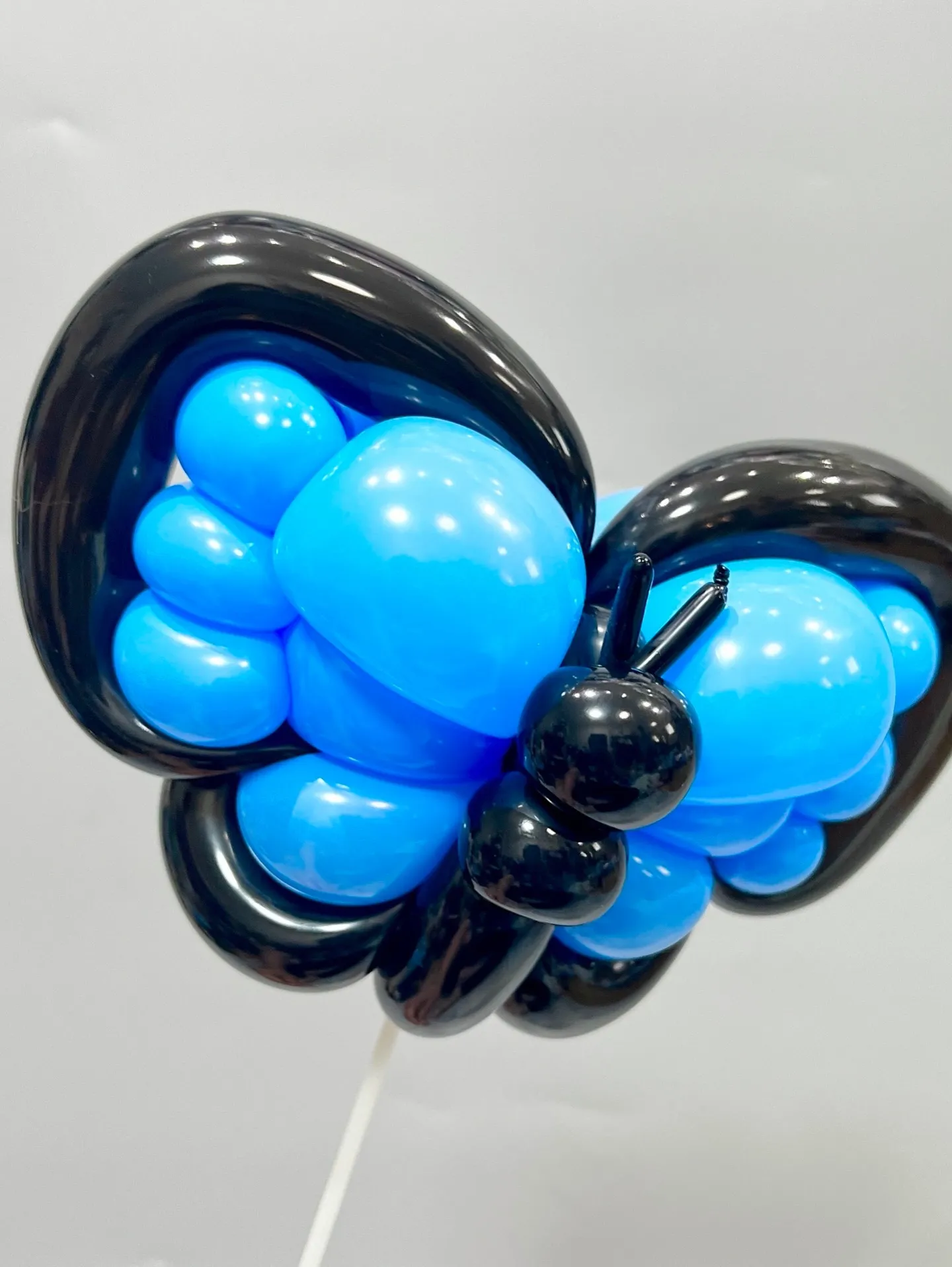 🇯🇵🇹🇼 バルーンアート交流会 in 台南